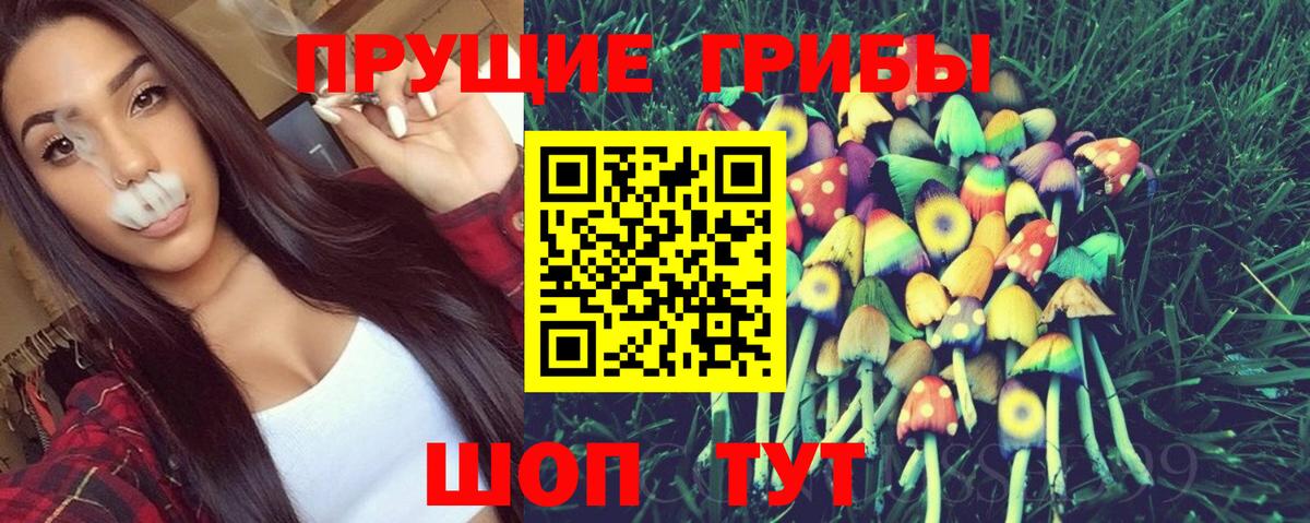 Галлюциногенные грибы прущие грибы Кинель